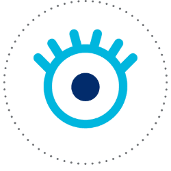 member organisations