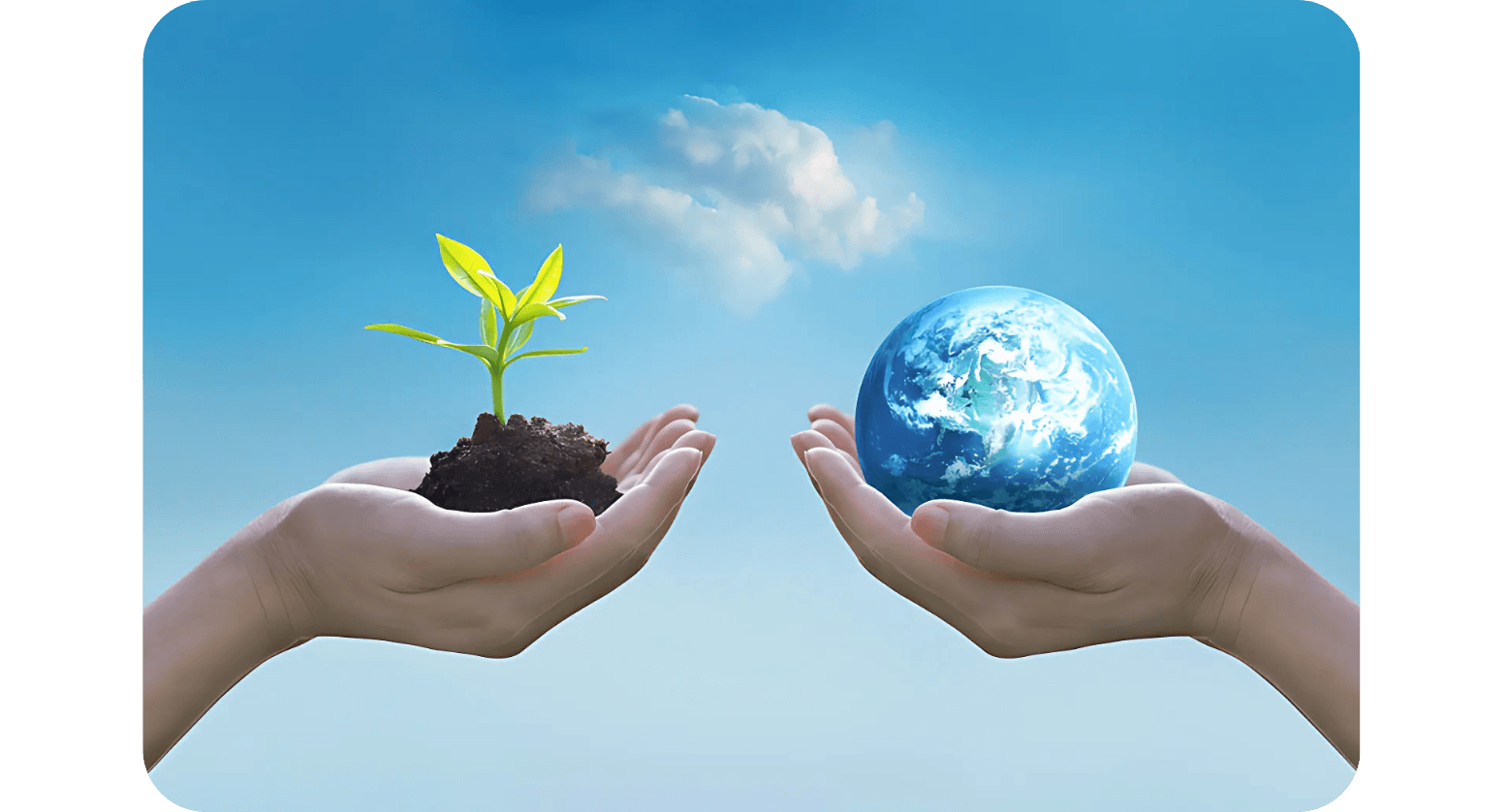 Ministry of Environment, Forest and Climate Change